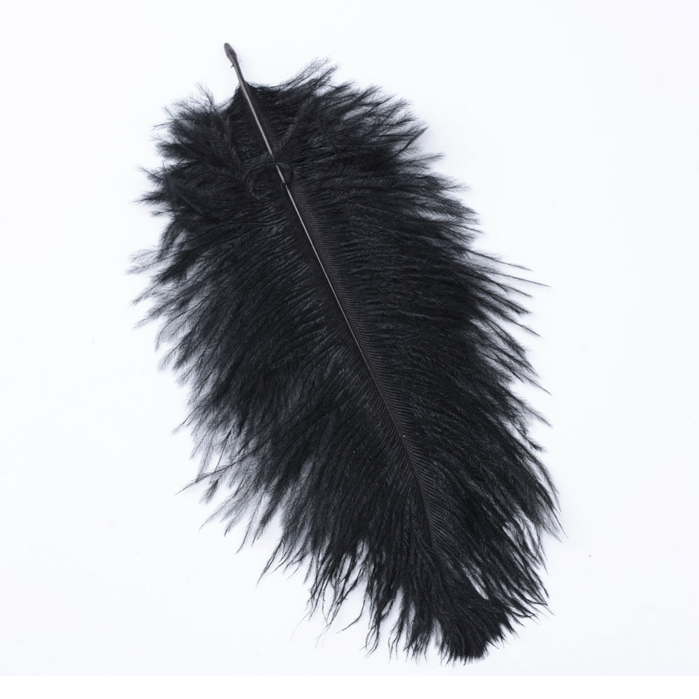 [FIND-R036-C-16] Plume d'autruche, environ 30 cm de haut, plusieurs coloris (Blanc)
