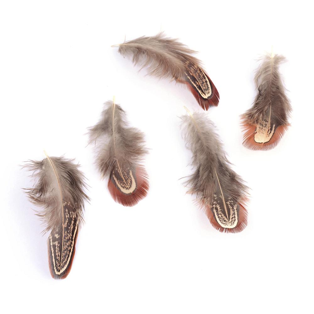 Plume de poulet, coloris brun, 40/80 x 10/20 cm, à l'unité