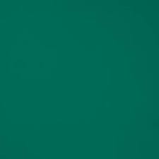 Pigment pour peinture porcelaine Catherine Bergoin 10gr, vert empire
