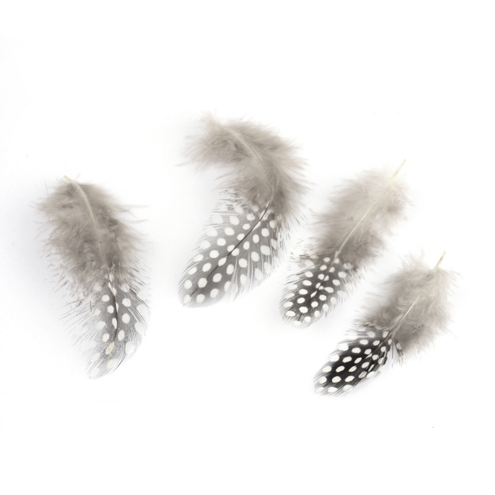 Plume de poulet, coloris gris clair, 65/135 x 25/45 mm, sachet de 50 pièces