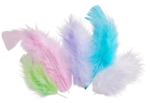 Plumes d'oie, couleurs d'automne, entre 15 et 20 cm, paquet de 20g