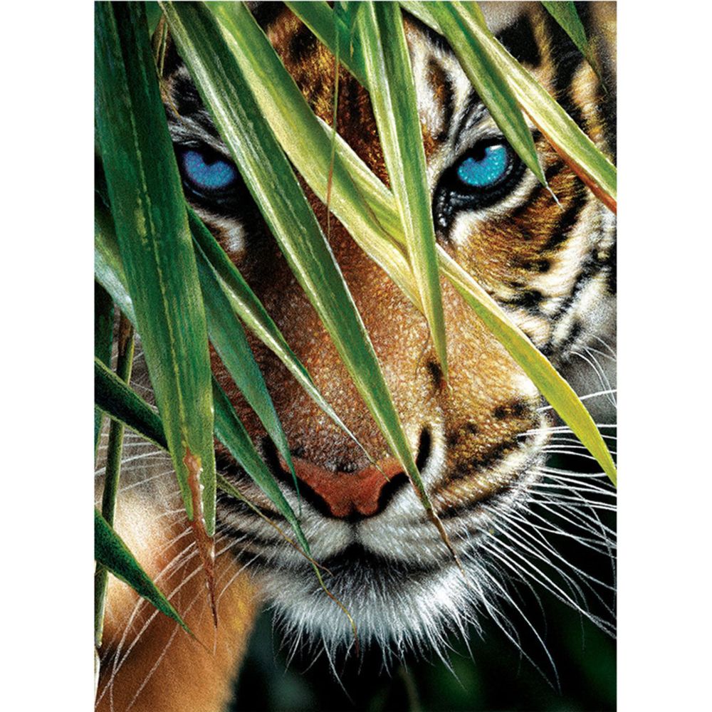 Kit complet de diamond painting, tigre, 30x20cm, unité